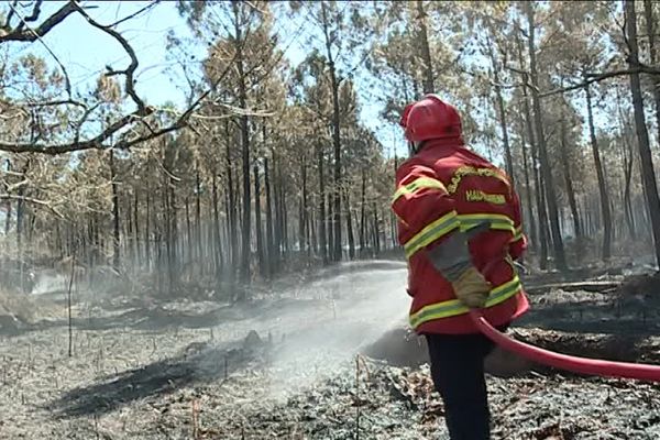 Après l'incendie qui a ravagé 1100 hectares de foret dans le Médoc, une centaine de pompiers est toujours mobilisée.