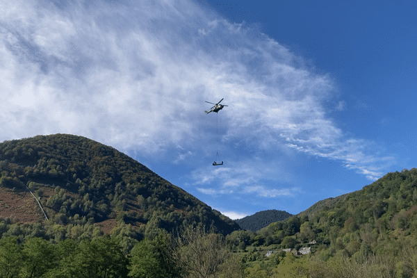 Les hélicoptères de combat de l'armée française viennent en aide aux éleveurs