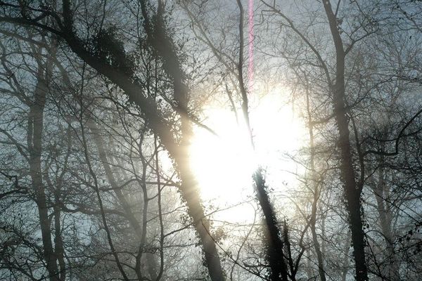 Une journée lumineuse 