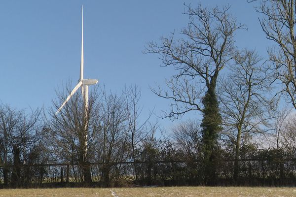 Le parc éolien d'Echauffour, dans l'Orne, en pause le temps d'expertises sur les nuisances sonores