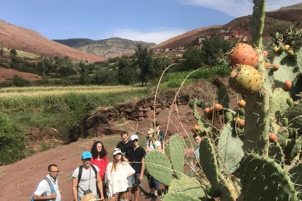 Une randonnée dans la montagne berbère pour découvrir et cueillir des fruits sauvages