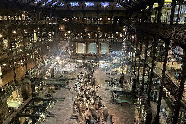 9 000 espèces sont présentées dans la Grande galerie de l'évolution du Muséum national d'histoire naturelle.