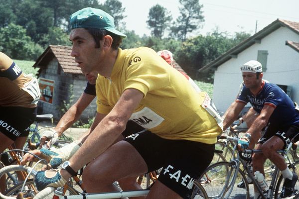 Eddy Merckx sur le Tour de France 1969