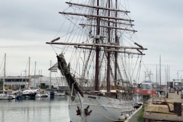 Du 20 au 23 juin, La Rochelle va vivre au rythme des vieux gréements pour ces premières fêtes maritimes.