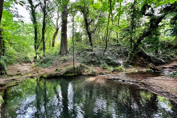 Les bords de l'Huveaune le 9 mai 2023, partiellement à sec, seulement alimentée, en aval du village, par un ruisseau : le Peyruis.