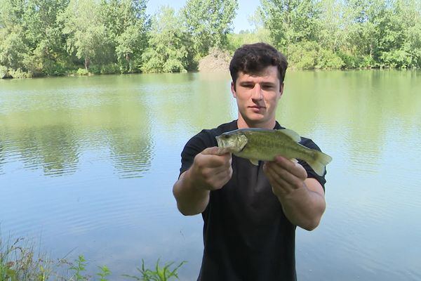 Un blackbass s'est fait piéger par le leurre de Thibault