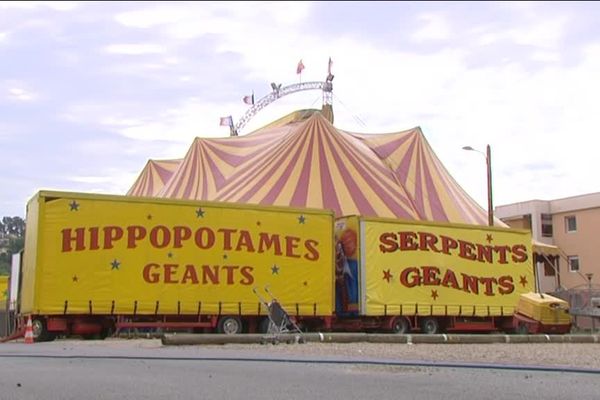 Le cirque Müller est arrivé à Villeneuve-Loubet pour une série de spectacles avec des animaux sauvages en captivité.