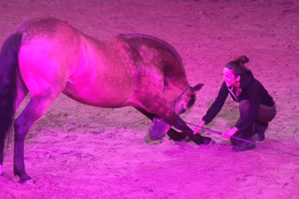 L'une des artistes des cabarets équestres de Pompadour en répétition avec l'un des 10 chevaux du spectacle