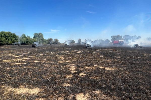 Plusieurs incendies se sont déclenchés ce week-end du 14 juillet en Normandie. Dans l'Eure, plus de 200 hectares ont brûlé.