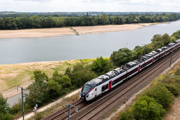 Grâce à un plan d'investissement d'un milliard d'euros conclu entre la région et l'État en 2022, la SNCF lance des chantiers à tour de bras dans la région pour moderniser son réseau.