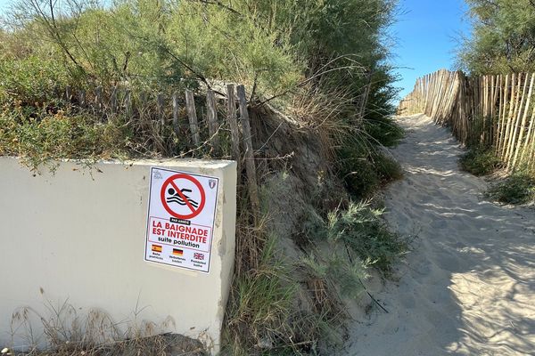 Épisode de pollution aux hydrocarbures sur une plage de la Grande-Motte, dans l'Hérault, le 13 juillet 2023.