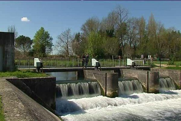 Des passes à poissons ont été aménagées sur les barrages du Marais Poitevin pour faciliter les migrations.