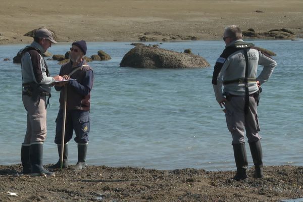 Les inspecteurs de l'OFB effectuent aussi bien des contrôles sur les plages qu'en mer, auprès des pêcheurs et des touristes pour s'assurer du respect de la biodiversité de Chausey.