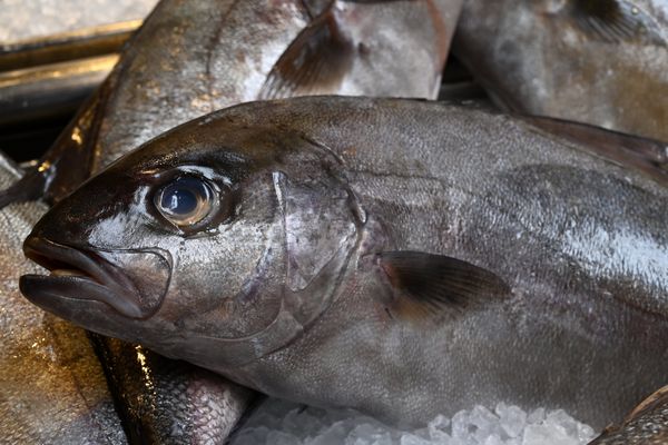 L'odeur "irritante", semblable à celle de "poisson avarié", a dérangé les clients et personnels d'un hôtel de La Léchère en Savoie, évacués de l'établissement / Photo d'illustration.