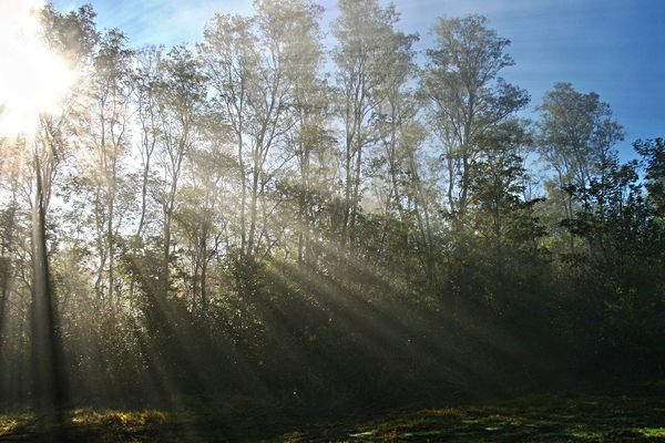 Soleil d'automne ce mardi sur le Nord Pas-de-Calais. 