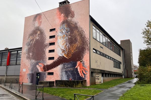 Une fresque monumentale recouvre l'un des murs du gymase La veillère à Amiens.