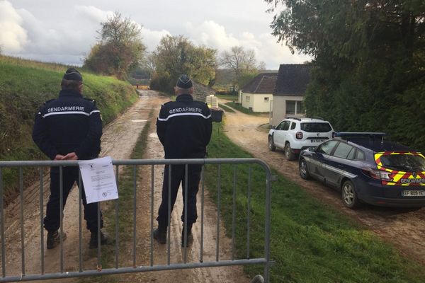 Un périmètre de sécurité a été installé autour du pré où se trouvent les chevaux. 