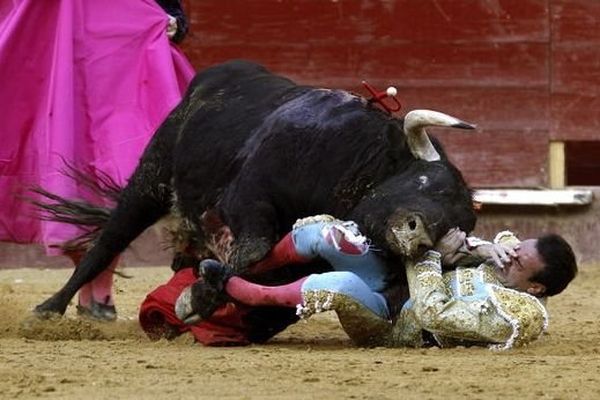 Le toro de Victoriano del Río blesse Enrique Ponce à l'aisselle.