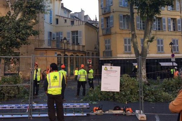 Une association de riverains souhaite empêcher l'abattage de certains arbres. 