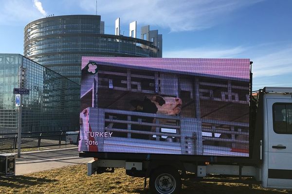 Le camion bardé d'écrans a pris place devant le Parlement européen.