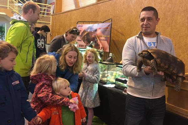 Des enfants fascinés par cette tortue terrestre, en vente lors d'une bourse au reptiles à Bellerive-sur-Allier, dimanche 5 mars 2017.