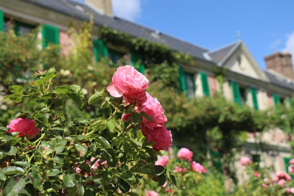 Les jardins de Claude Monet à Giverny (Eure).