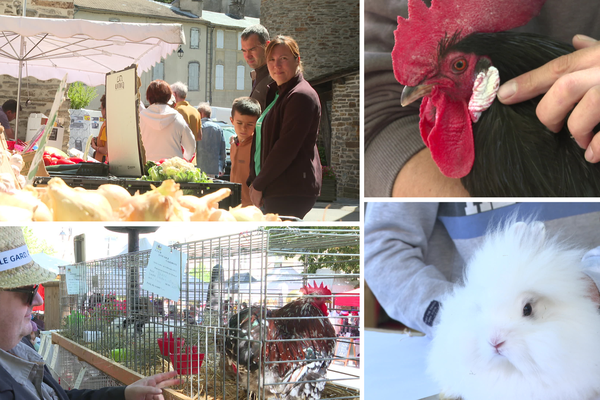 Le village de Saint-André de Valborgne a célébré sa quatrième fête du coq dimanche 6 août 2023.