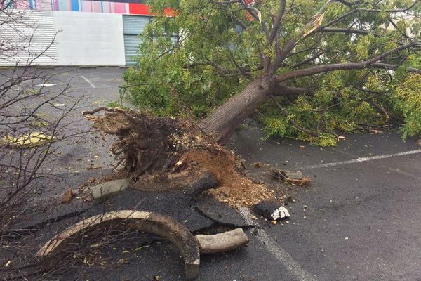 Arbres et toitures arrachées, Le Crès, situé à l'Est de Montpellier, a connu une nuit agitée. Des habitations et des voitures ont été endommagées mais il n'y aurait pas de victime.