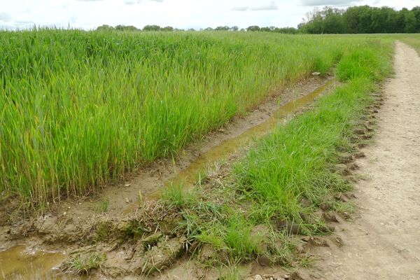 La pluie de ces dernières semaines empêche les agriculteurs d'avancer