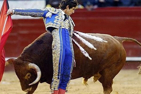 Valencia. Juncoso, de Núñez del Cuvillo, le meilleur toro du week-end. Castella lui coupera les deux oreilles.