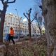 Suite à la rupture d'une branche, un agent de la ville a chuté du haut d'un arbre boulevard de la Paix.