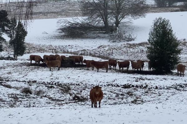 La neige est de retour en Limousin.