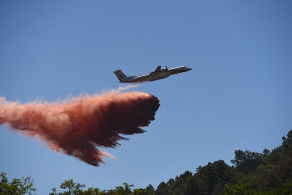 Un dash et un avion de coordination ont été déployés pour endiguer le feu en Lozère ce mardi 19 juillet 2022.