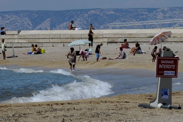 Plage du Prado interdite à la baignade