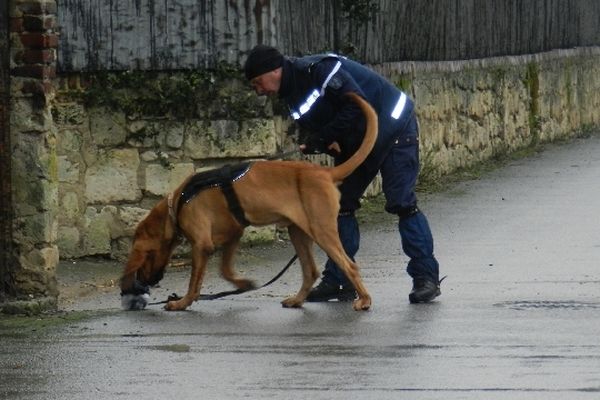 La gendarmerie est aidée de 8 chiens de la brigade cynophile pour retrouver Bruno