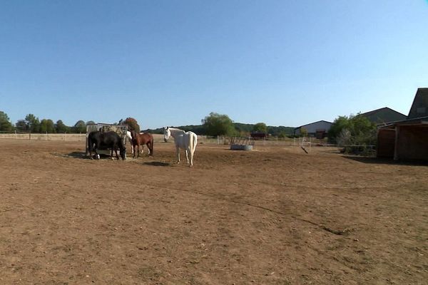 "Le Ranch de l'espoir" à Villefranche-Saint-Phal (Yonne), en 2021.