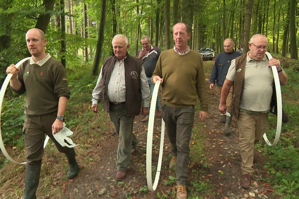 Un groupe de chasseurs dans un bois du Vimeux partent faire un relevé de fructification.