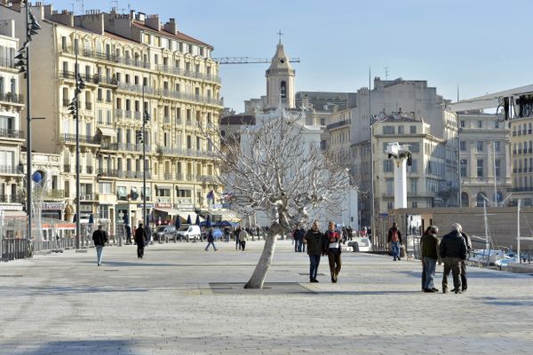 Les arbres pousseront-ils sur le Vieux-Port en 2029 ?