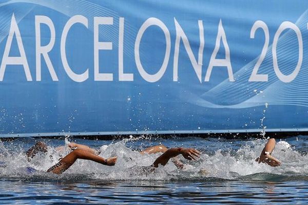 Les championnats du monde de natation en eau libre ont lieu actuellement à Barcelone.