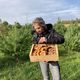 Anne Paulhe-Massol s'est lancé dans la production originale de champignons lactaires qui poussent au milieu des pins