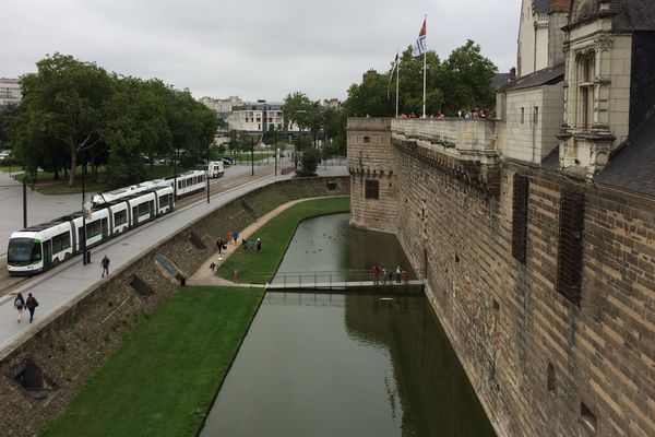 Près du château de Nantes on peut parfois entendre le chant des cigales