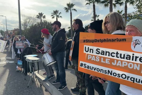 Une centaine de militants pour le bien-être animal ont manifesté devant Marineland, le dernier jour de l'ouverture du parc, ce 5 janvier 2025.