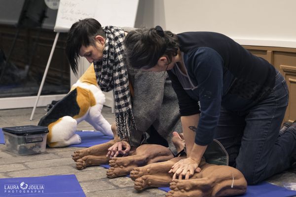 Stéphanie Loridant fait une démonstration de massage cardiaque sur un mannequin chien.