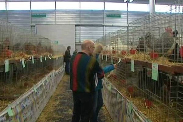 La 16e édition du Salon de l'aviculture et de la nature de Mulhouse