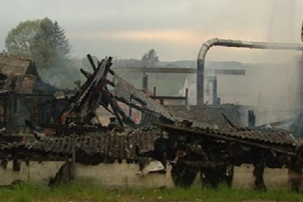 Une scierie de Sauviat-sur-Vige ravagée par les flammes