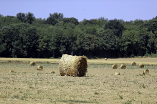 76 nouvelles communes ont été reconnues en calamité agricole pour pertes de fourrage sur le département du Puy-de-Dôme,