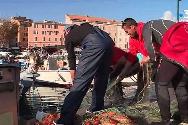 Les sapeurs-pompiers de Corse-du-Sud viennent en aide aux pêcheurs d'Ajaccio. Ils aident à nettoyer le port Tino Rossi. 