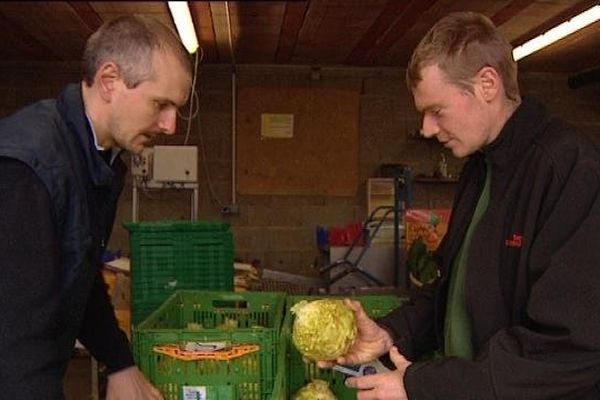 Quand le légume transite vite entre le producteur et l'acheteur, c'est aussi bon pour la planète que pour le porte-monnaie