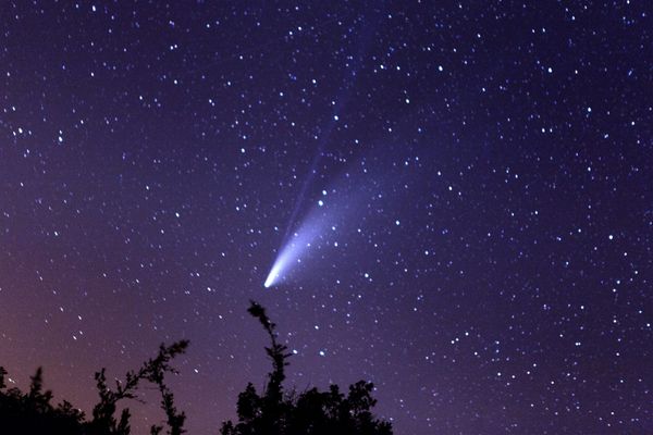 La comète pourra être visible en janvier et en février.