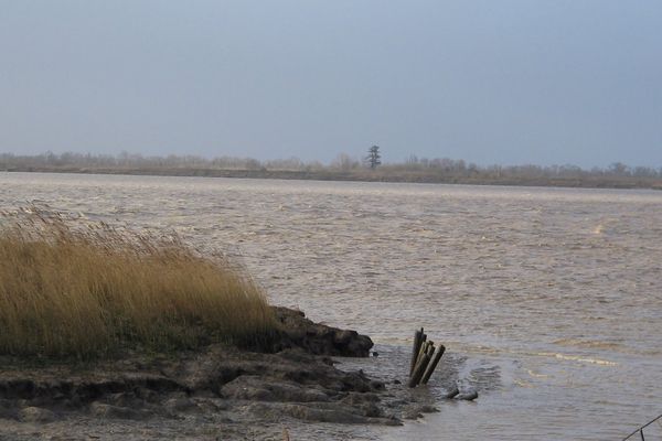 Estuaire de la Gironde 